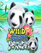 โปรแกรม เจาะระบบ สล็อต ที่คุณต้องรู้